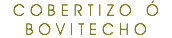 COBERTIZO Ó BOVITECHO